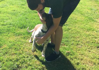 dog kennel staff dorset