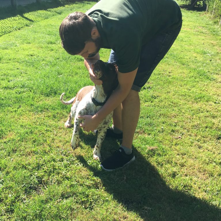 Meet the Team Country Kennels & Cattery Dorset